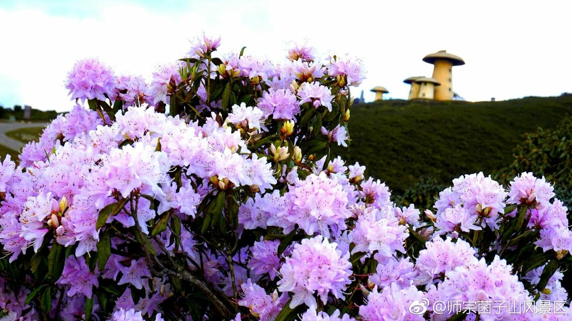 免费业务自助下单网站